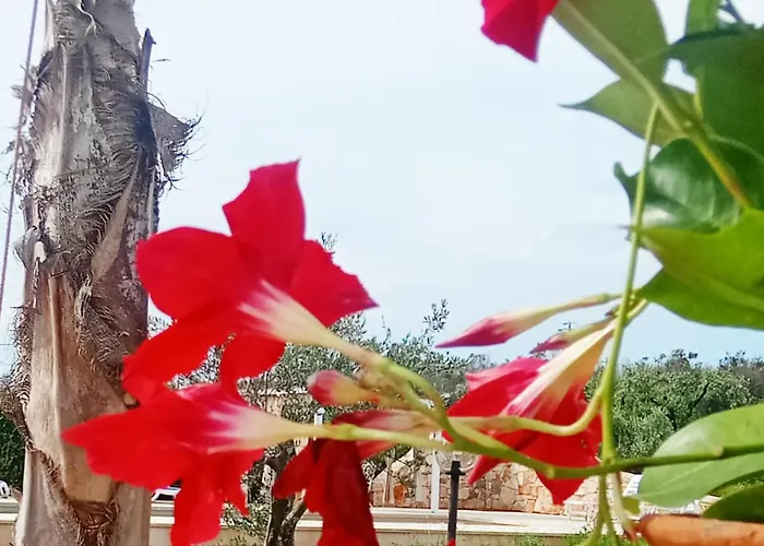 Alojamento de Turismo Selvagem Country - Con Piscina 10 Posti - Salento
