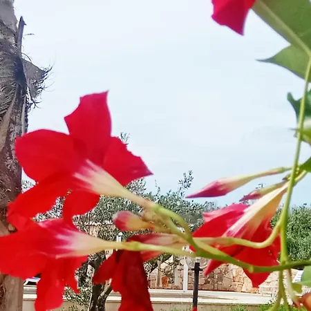 Lodge Country - Con Piscina 10 Posti - Salento