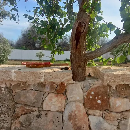 Country - Con Piscina 10 Posti - Salento