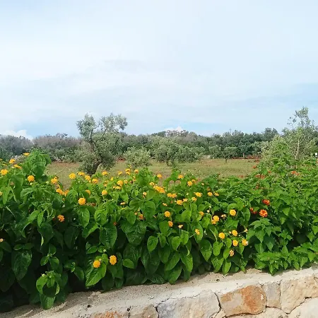 Country - Con Piscina 10 Posti - Salento